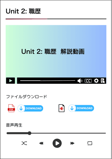 専用動画・音声サイト例