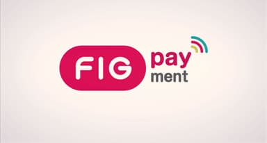 FIG Payment篇 4