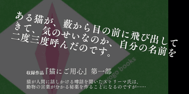 猫にご用心　紹介2