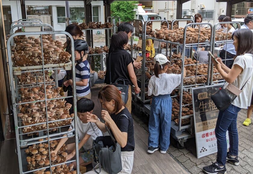 オーガニック給食推進で有機JASキノコ収穫体験催事を実施
　子供たちや給食関係者との交流会で食育活動を提案