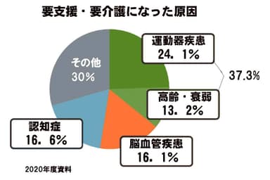 要支援・要介護になった原因