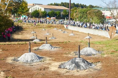 たくさんのもみ殻の山でサツマイモを焼いている様子