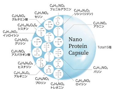 ナノプロテインカプセルイメージ