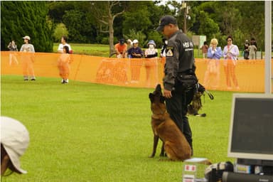 災害救助犬デモンストレーション(2)