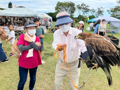 来場した動物たち(1)