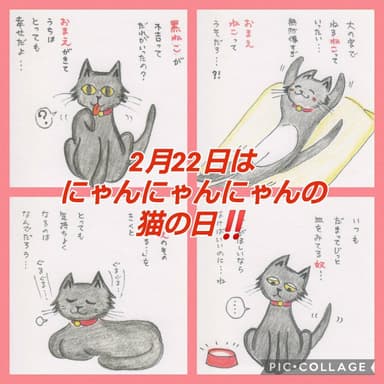 猫イラスト(1)