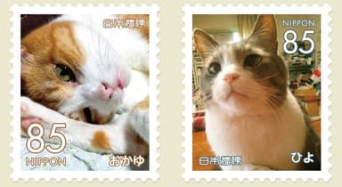 リターン特典　飼い猫を切手にして本に掲載