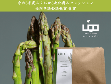 受賞商品『HACOCHA 001 Asparagus』