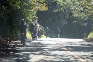 サイクリングはグループで安全に移動します