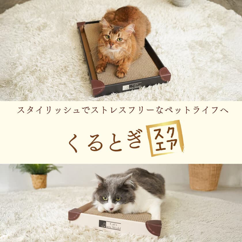 画期的な視点の猫の爪とぎ「くるとぎスクエア」　
保護猫・地域猫活動団体・支援メディア等に無償提供を開始