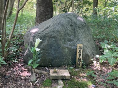 散策道に佇む野の花観音