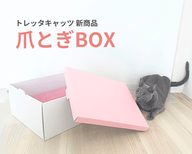 新商品 爪とぎBOX販売開始