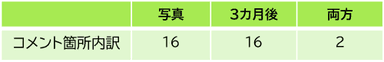 コメント箇所内訳