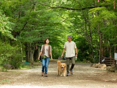 愛犬と四季を感じることが出来るドックパーク