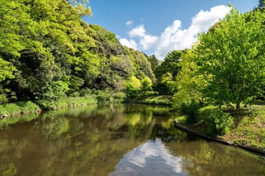 園内の里山の風景