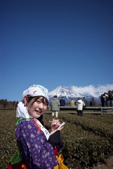 富士の茶娘