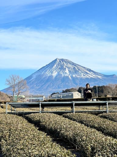 山田翔太氏と茶会会場