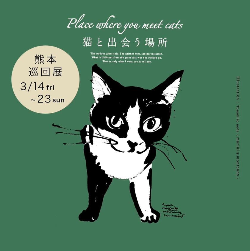 アートで保護猫応援！
「Place where you meet cats ～猫と出会う場所～ 熊本巡回展」
3月14日～3月23日にサクラマチ クマモトにて開催決定