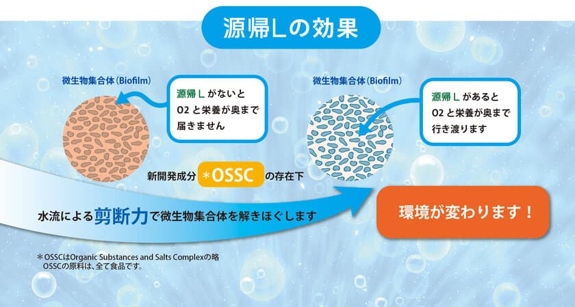 廃水処理におけるカルシウムスケールの問題を
新しいアプローチで解決し、その成果を確認！