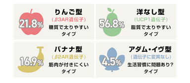 遺伝子検査によるタイプ分類