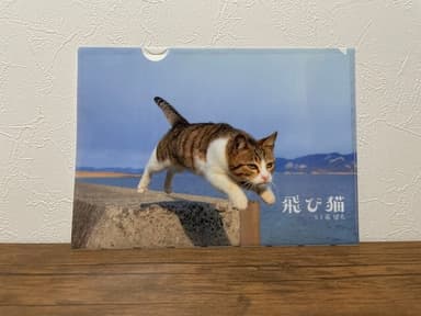 飛び猫クリアファイル 385円(税込)