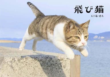 飛び猫写真集 1&#44;320円(税込)