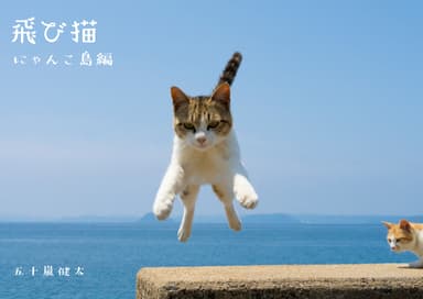 飛び猫写真集にゃんこ島編 1&#44;540円(税込)