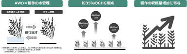 AWD農法による効果