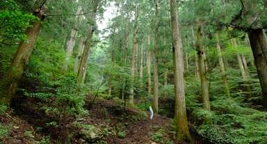 100年の森と橋本さん