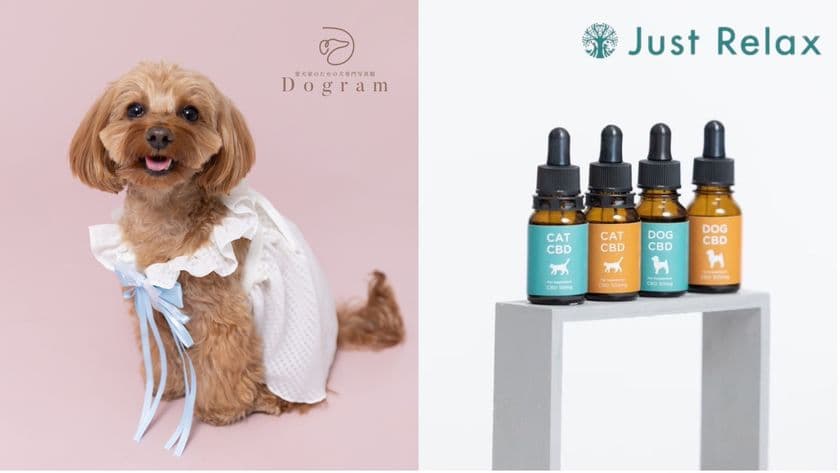 愛犬家のための犬専門写真館Dogramと
ペット用CBDオイルブランド Just Relaxがコラボ！
4月3日より開催の「第14回インターペット」に出展