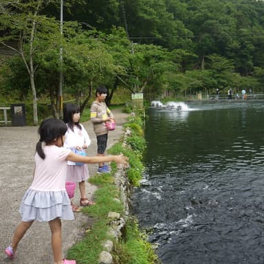 餌やりの体験もできます