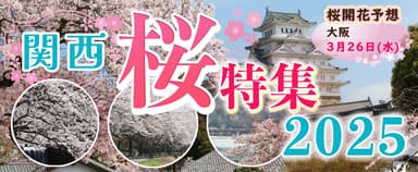 関西桜特集メイン