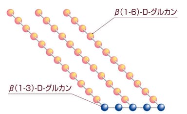 アガリクスに含まれるβ-グルカンの構造式