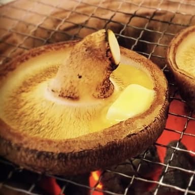 北海道中標津しいたけ『想いの茸』 しいたけバター醤油焼き