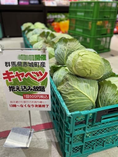 群馬県産のキャベツをご用意