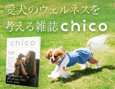 『chico』創刊準備号