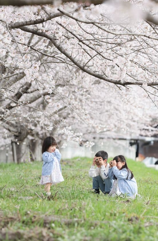 兵庫県三田市「三田さくら物語」プロジェクト　
「さんだ桜まつり2025」を令和7年3月30日に開催！