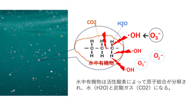 水中有機物分解