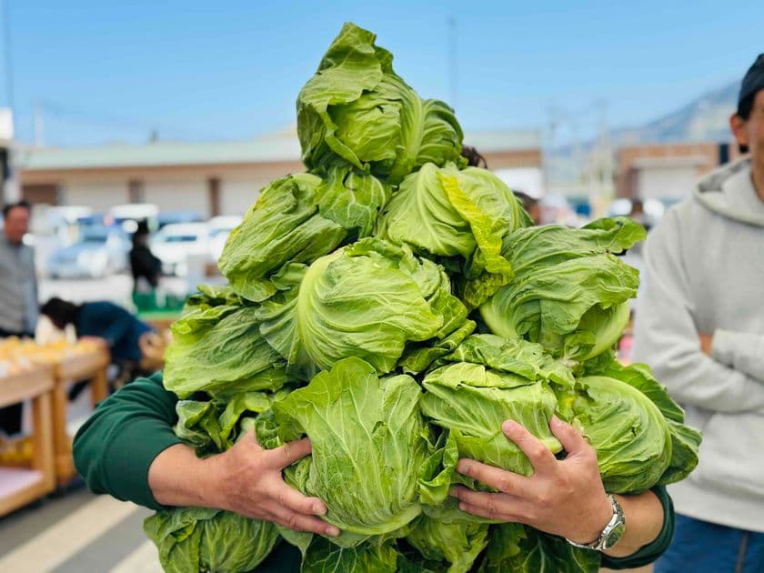 \GWは山梨の「道の駅なんぶ」に行こう!/
キャベツの抱え込みや野菜の詰め放題!南部茶の詰め放題も実施!
ほかにも大抽選会やじゃんけん大会などイベント盛りだくさん