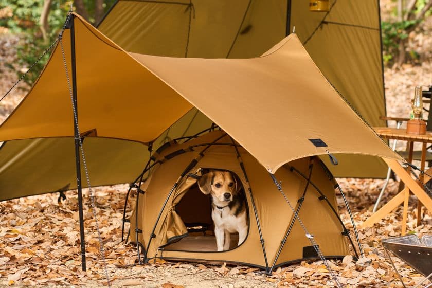 愛犬とキャンプを楽しむ
Wan&Co.ブランド第一弾アイテム登場