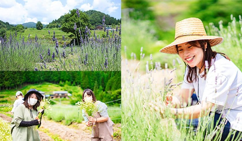 <6/28(土)>化粧品原料を有機栽培する体験・キャンプ施設で
スキンケア原料の『ハーブ収穫体験会』を開催