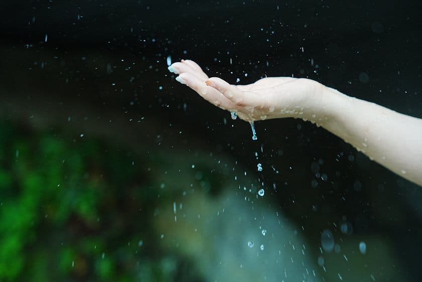 伊豆半島最南端の絶景と歴史を巡る
1泊2日・女性限定“フォト・ストーリーテリングの旅”
3月・5月に続き大好評!7月開催のお知らせ