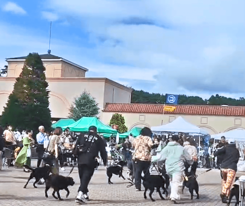 ワンちゃんイベント大盛況!!
那須ガーデンアウトレットin with Dogs club
【Happy!ワンDaysフェスタ】