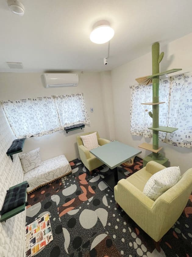 国内最大級(*1)の個室型猫専用ペットホテル、
愛知県に7月10日オープン!