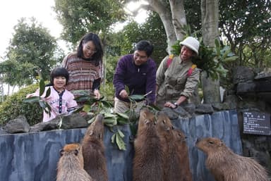 伊豆シャボテン公園(1)