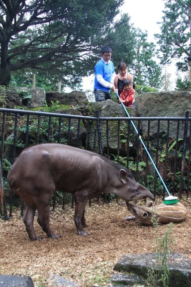 伊豆シャボテン公園(2)