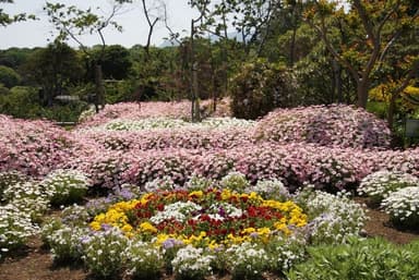 伊豆四季の花公園