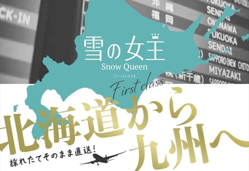 ネギの流通を農家から変える
ねぎびとカンパニー、マイナビ農業と夏ネギの新ブランド
「雪の女王」を全国展開へ
~ 常識を打ち破り、日本の農業の未来を切り拓く ~