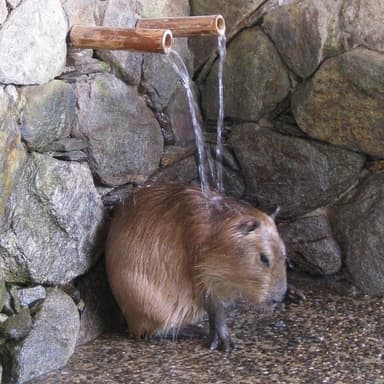 長崎バイオパーク いいね！最多獲得