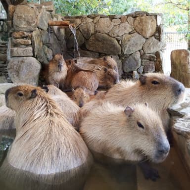 長崎バイオパークの投稿 (2)